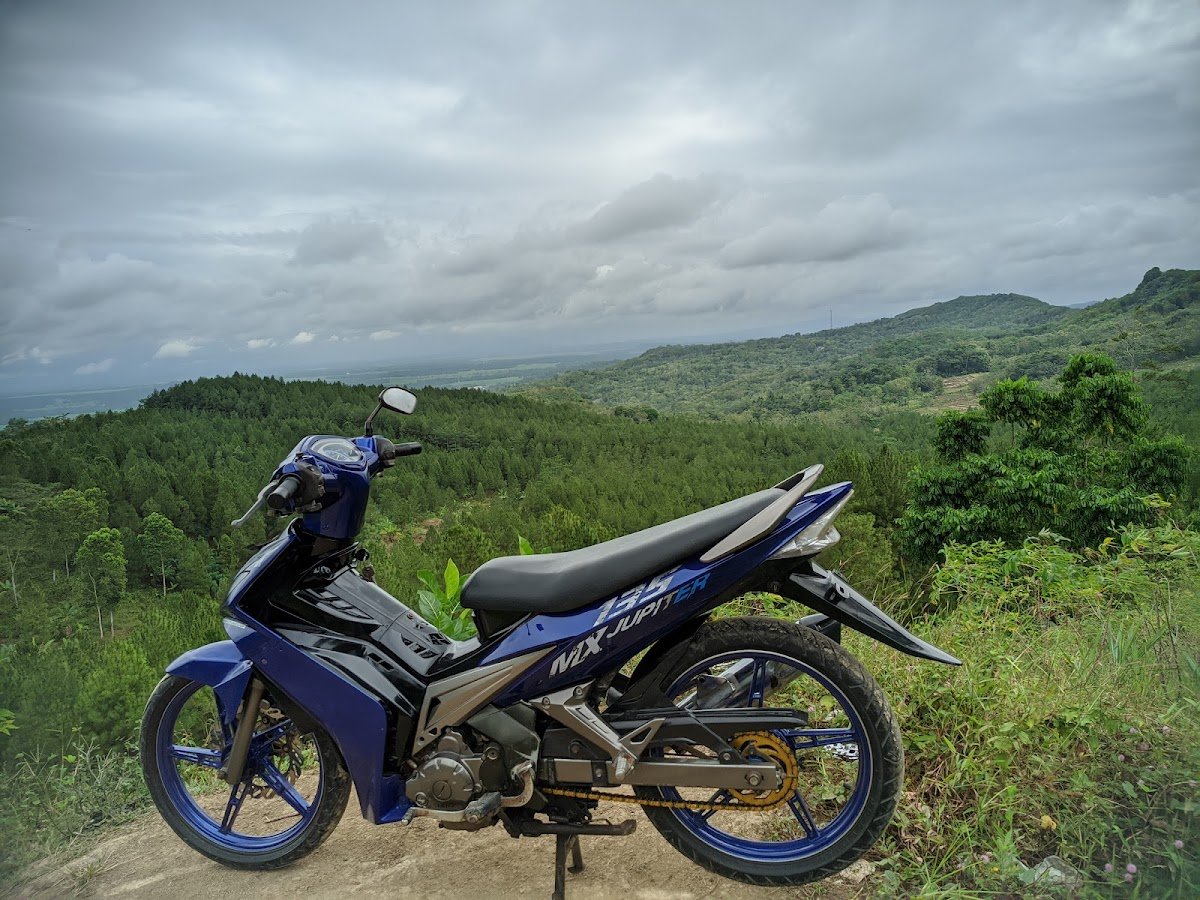 MunggangJati Forest: The Green Heart That Brightens Cilacap Days