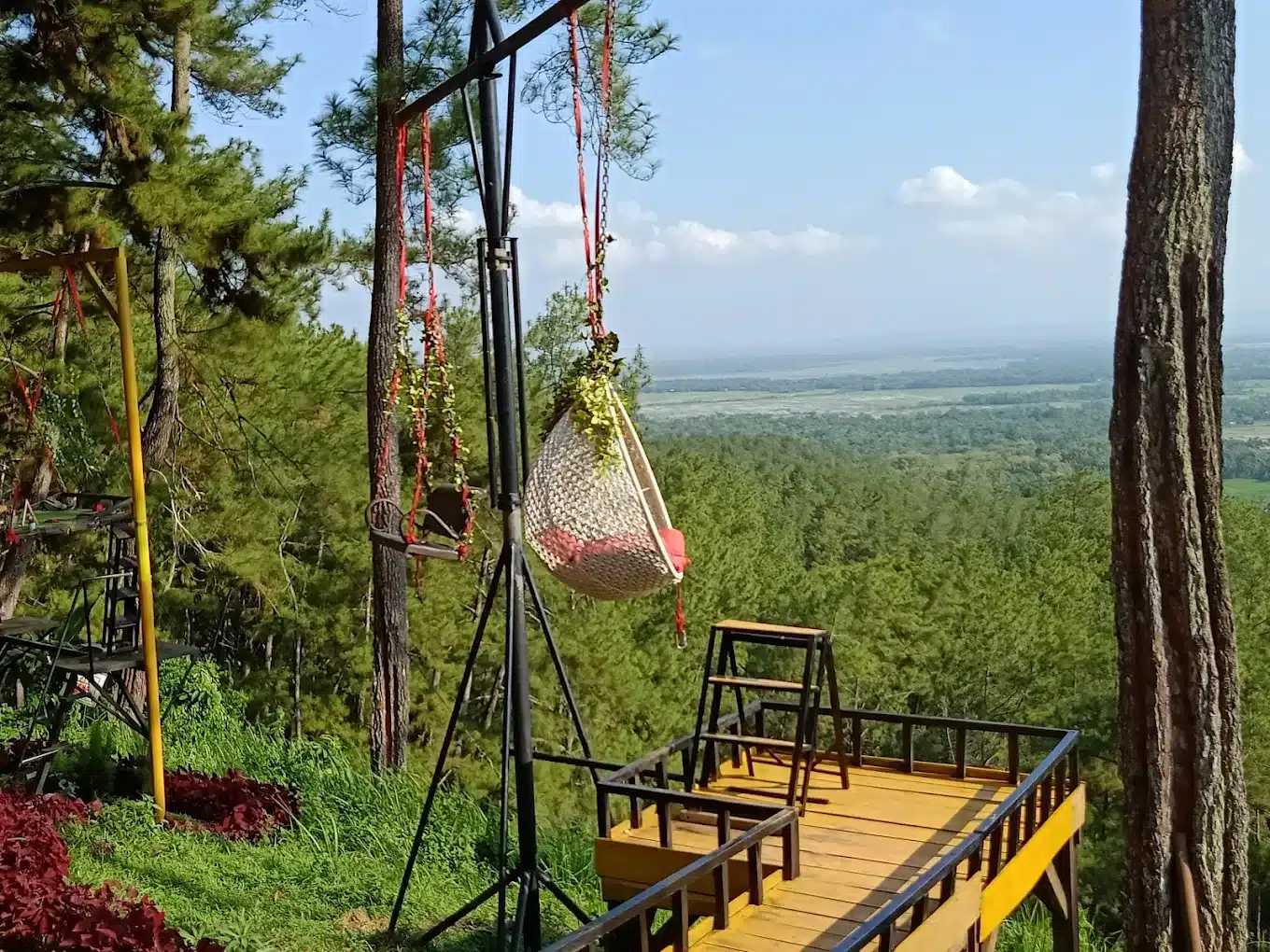 MunggangJati Forest: Keheningan Alam yang Mengajakmu Bersatu dengan Cilacap